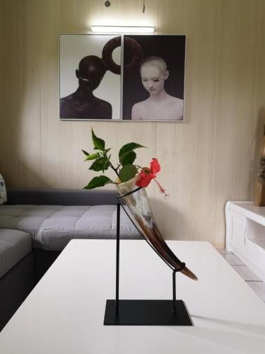 Фотография гостевого дома Lagoon Dream