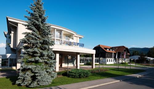 Фотографии гостиницы 
            Hotel Toplice - Terme Čatež