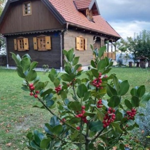 Фотография гостевого дома Kuća za odmor Poljanica Okićka