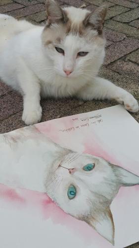 Фотография мини отеля B&B La Casa in Collina