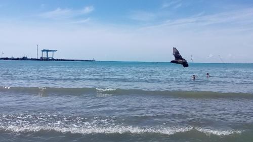 Фотографии гостевого дома
Риф