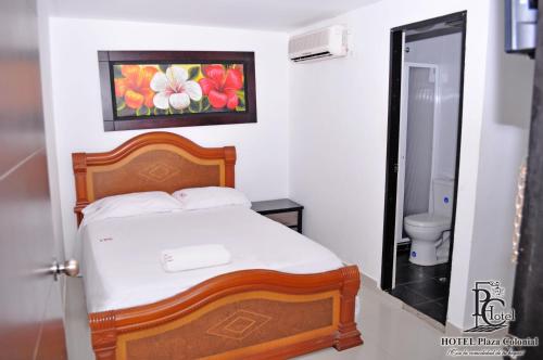 Фотография гостиницы Hotel Plaza Colonial