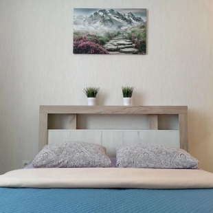 Фотография квартиры Квартира на Буксирной улице 10