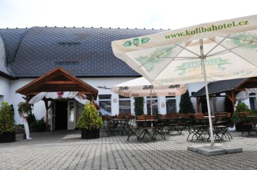 Фотография гостиницы Hotel Koliba