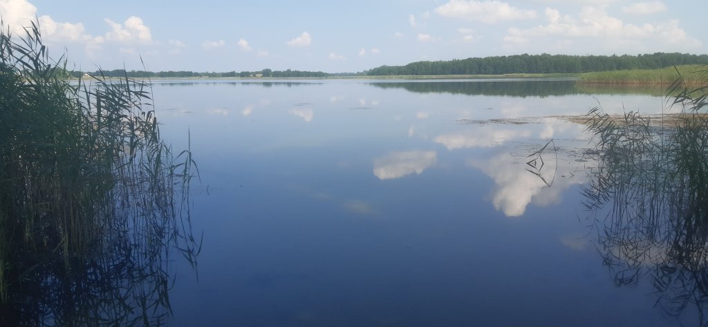 Фотография Коттеджа Дом Агроусадьба Сосны