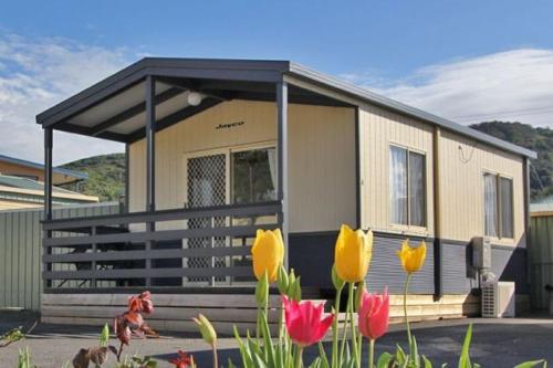 Фотография базы отдыха Apollo Bay Holiday Park