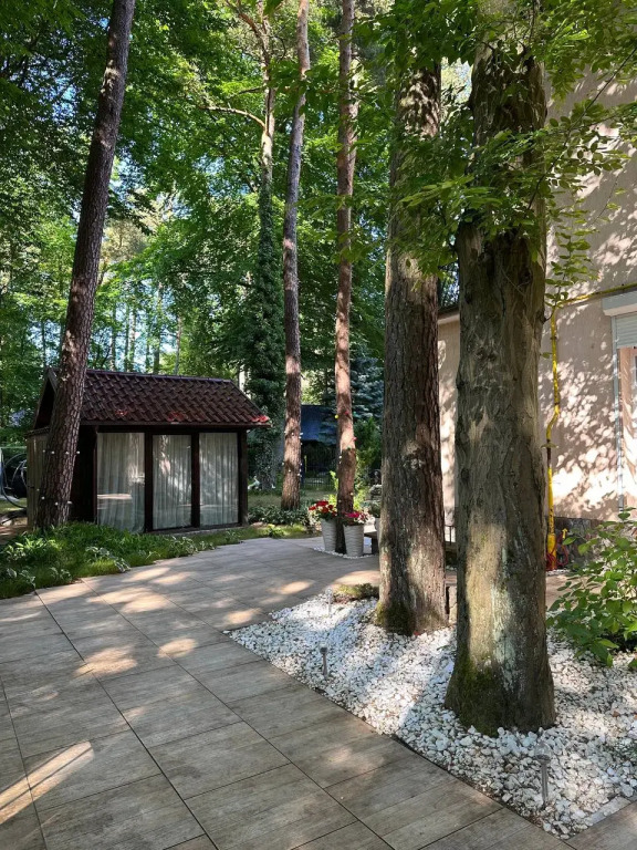 Фотография Коттеджа Дом Семь сосен