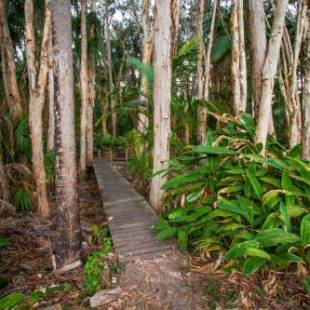 Фотографии базы отдыха 
            Agnes Palms Accommodation