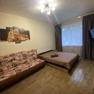 Фотография квартиры Апартаменты на проезде Чернышевского