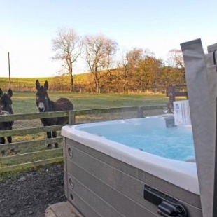 Фотография гостевого дома 3 Bed Lodge w private Hot Tub on Animal Haven Farm