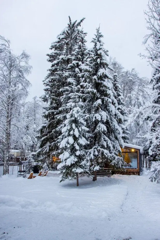 Фотография Коттеджа Частный дом Дом у леса с баней и чаном