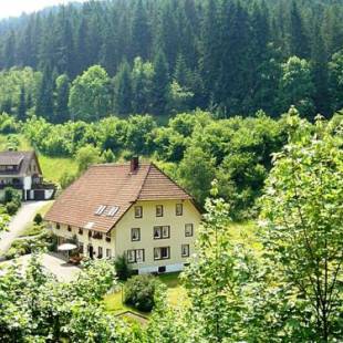 Фотографии гостевого дома
Cosy apartment in country home style with use of garden