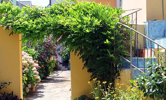 Фотография мини отеля Надежда