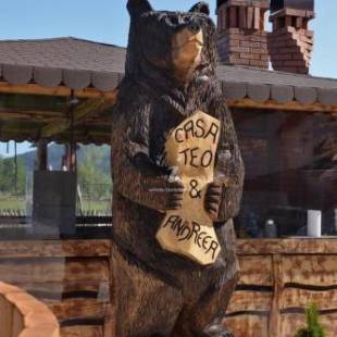 Фотографии гостевого дома
Casa Teo&Andreea