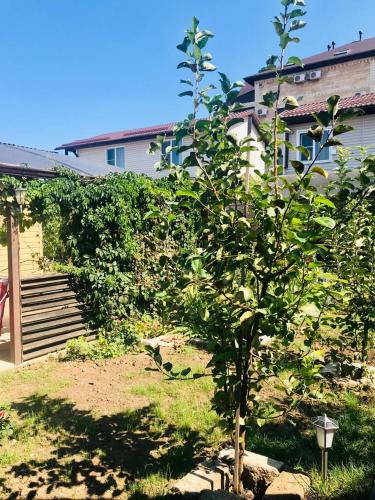 Фотография гостевого дома Ассоль