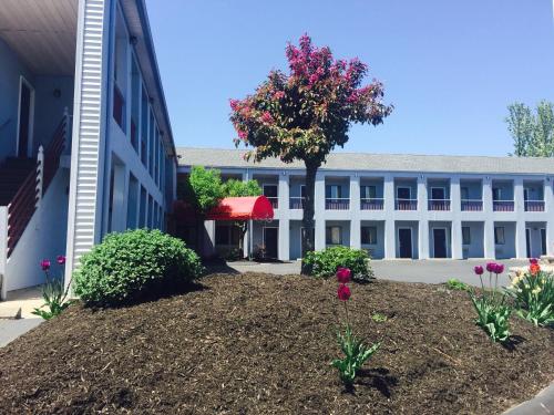 Фотография гостиницы PIER BLUE INN Old Saybrook - Essex