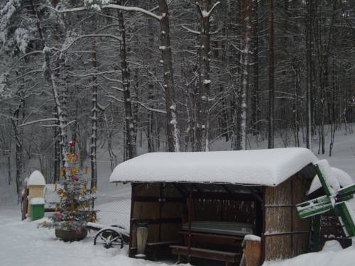 Фотографии гостевого дома
На Опушке