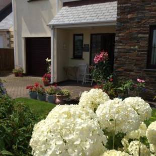 Фотографии мини отеля
Home from Home B&B