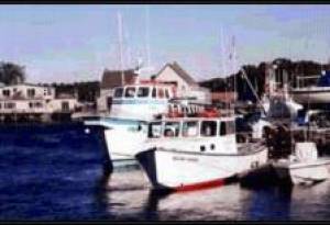 Фотография гостиницы Lodge at Kennebunk