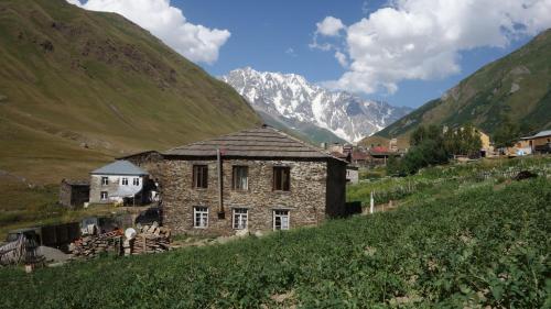 Фотография гостевого дома Caucasus Guesthouse