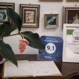 Фотография гостевого дома Giu Al Mulino B&B