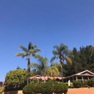 Фотографии гостиницы 
            Forest Lodge Resort