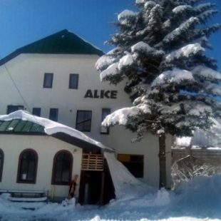 Фотография гостевого дома White Rabbit Madarao