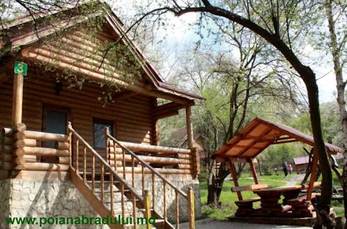Фотография гостиницы Poiana Bradului