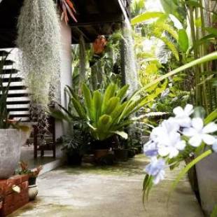 Фотографии гостевого дома
Inn Oon Villa