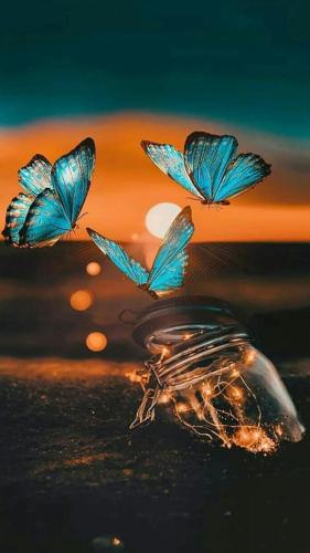 Фотография мотеля Lake Side Lodge