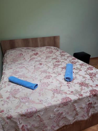 Фотография гостевого дома ninos jvari