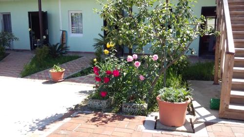 Фотографии гостевого дома
Домик на Перелетной