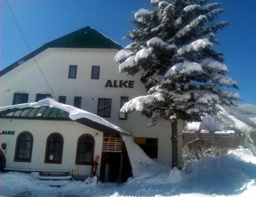 Фотографии гостевого дома
White Rabbit Madarao