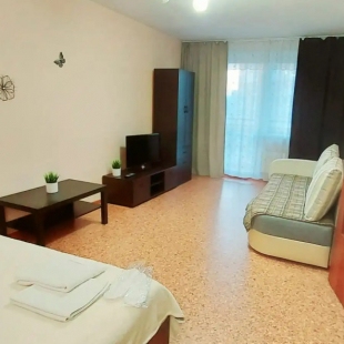 Фотография квартиры Квартира 1-к. в Новом городе Запорожская 61