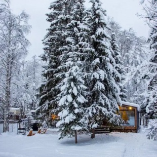 Фотография Коттеджа Частный дом Дом у леса с баней и чаном