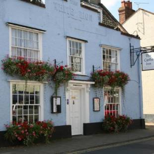 Фотографии мини отеля 
            The Castle Inn