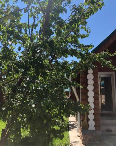 Фотография гостевого дома Шамиль