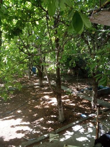 Фотография хостела Valer