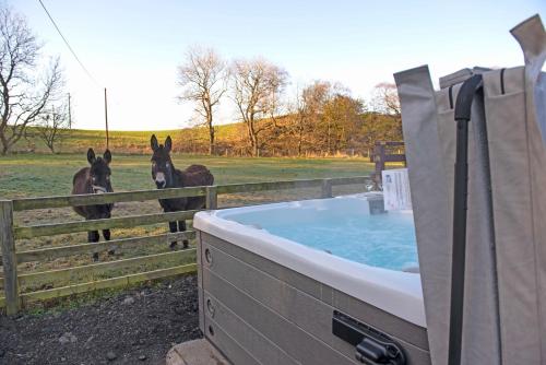 Фотографии гостевого дома 
            3 Bed Lodge w private Hot Tub on Animal Haven Farm