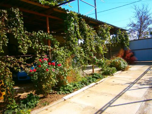 Фотография мотеля Ирина