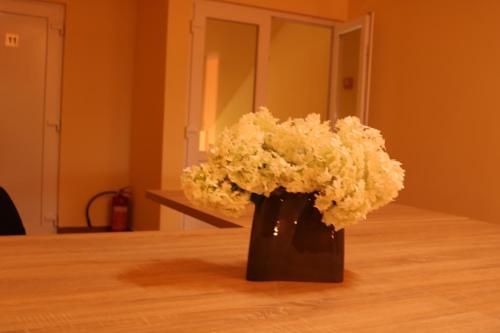 Фотографии гостиницы
Мозайка