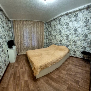 Фотография квартиры Апартаменты Пушкина 29