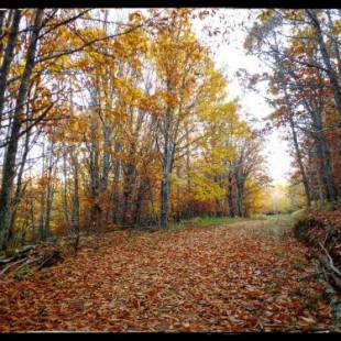 Фотографии гостевого дома
Casa Quevedo