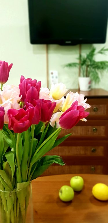 Фотография квартиры Квартира Викэнд