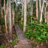 Фотография базы отдыха Agnes Palms Accommodation