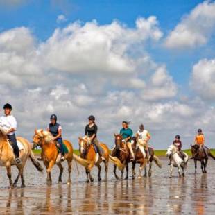 Фотографии гостевого дома
Gud Jard Lodge Nr. 32 - Wohngesundes Design-Ferienhaus