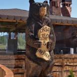 Фотография гостевого дома Casa Teo&Andreea