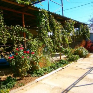 Фотография мотеля Ирина