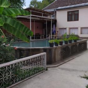 Фотография мини отеля Astrea