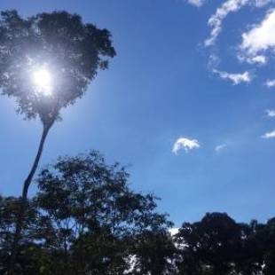 Фотография мини отеля Finca Las Palmas Ecolodge